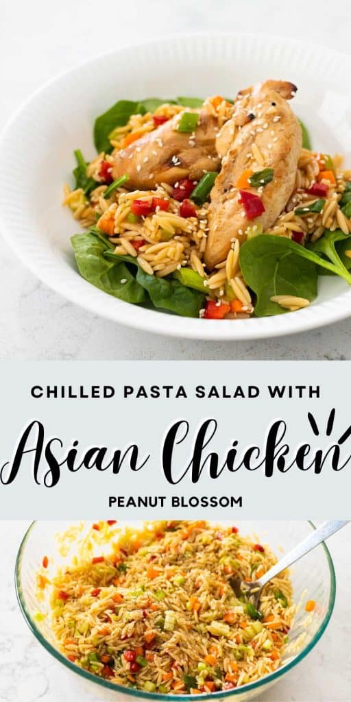 Asian Chicken Pasta Salad - Peanut Blossom