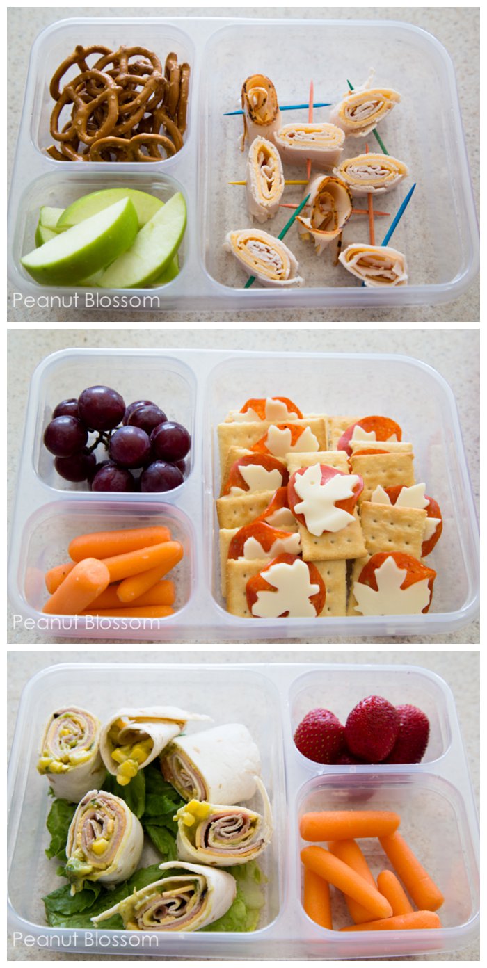 20 School Packed Lunch Ideas & Tips
