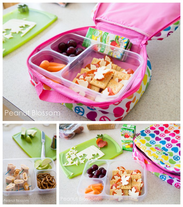 Kids Lunch Box Ideas For All Ages - FeelGoodFoodie