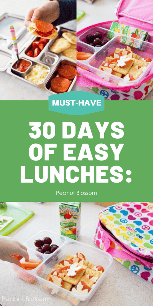 30 School Lunch Ideas for Kids - Peanut Blossom