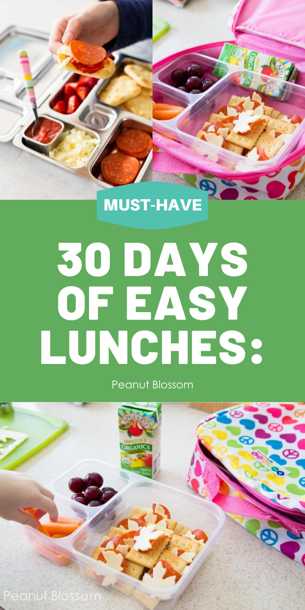 7 Fun and Easy School Lunch Ideas for Kids - Chicago Parent