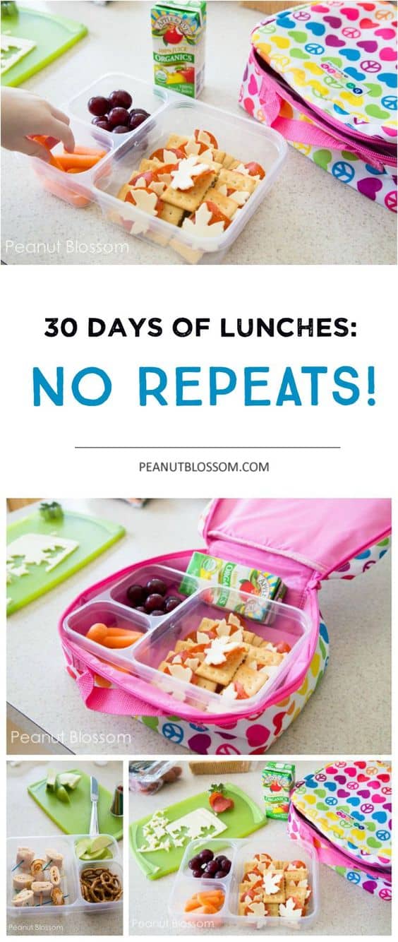 30 School Lunch Ideas for Kids - Peanut Blossom