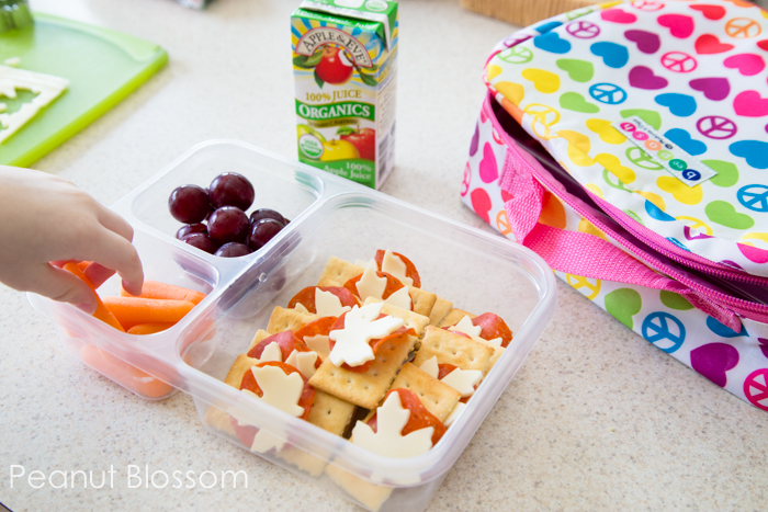 16 Lunch Box Ideas for Preschoolers (No Reheating) - Wooed By The Food