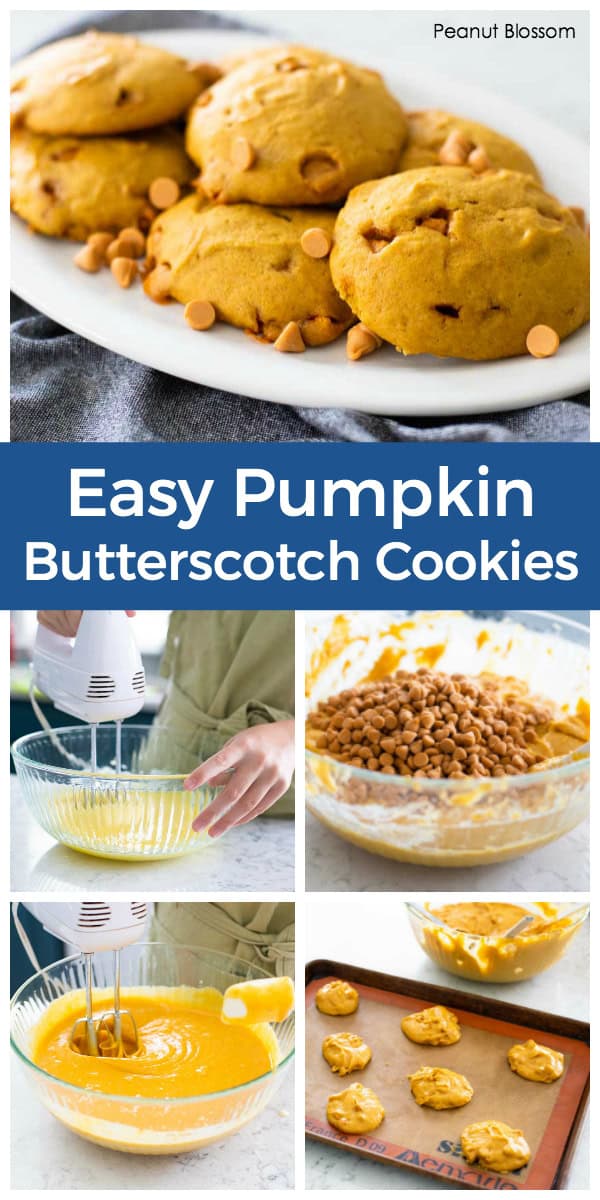 Totally Easy Pumpkin Butterscotch Cookies To Bake With Your Kids