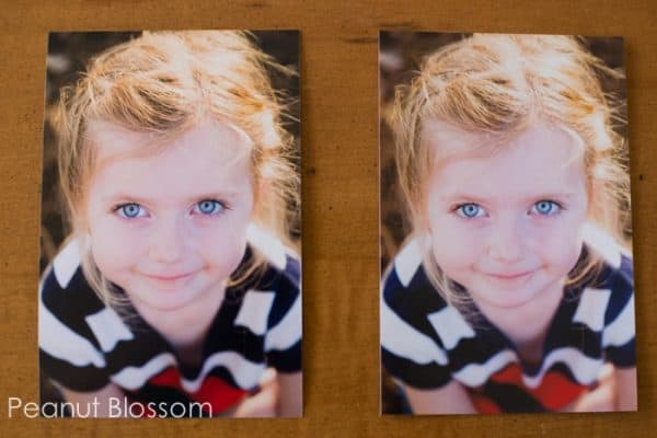 Where Should I Print My Photos? Shutterfly vs. Mpix.com?