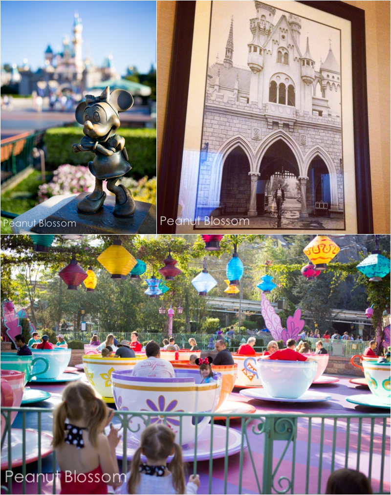 disney vacation packages march 2015