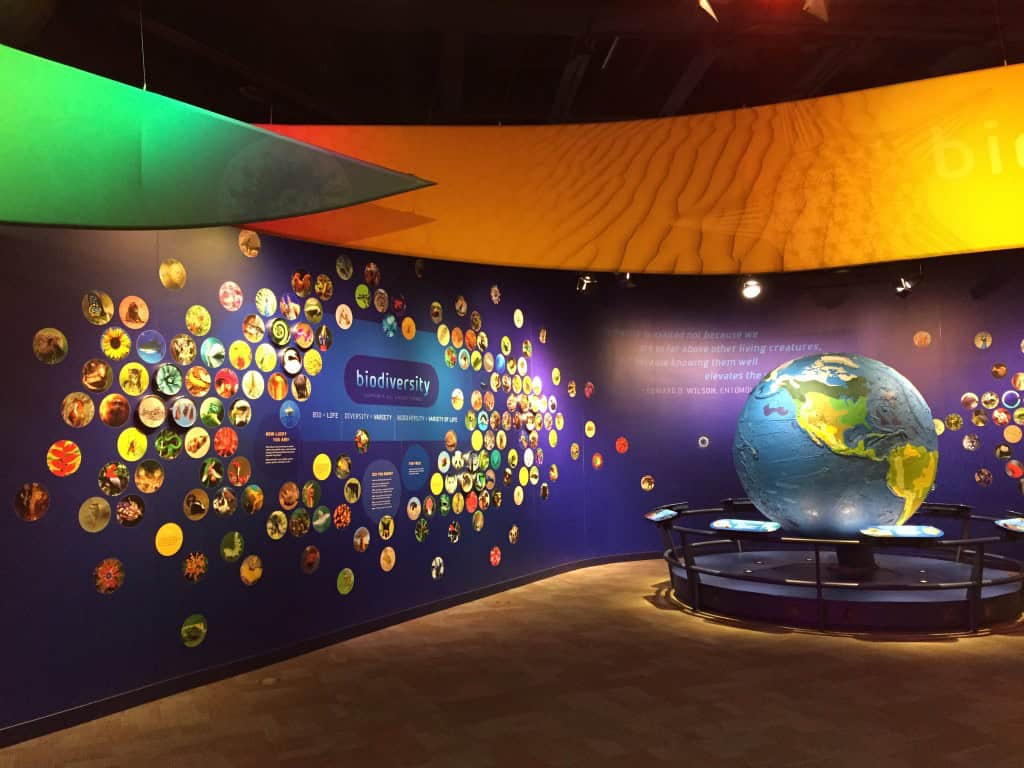 Peek inside Discovery Place Charlotte, NC {VIDEO}