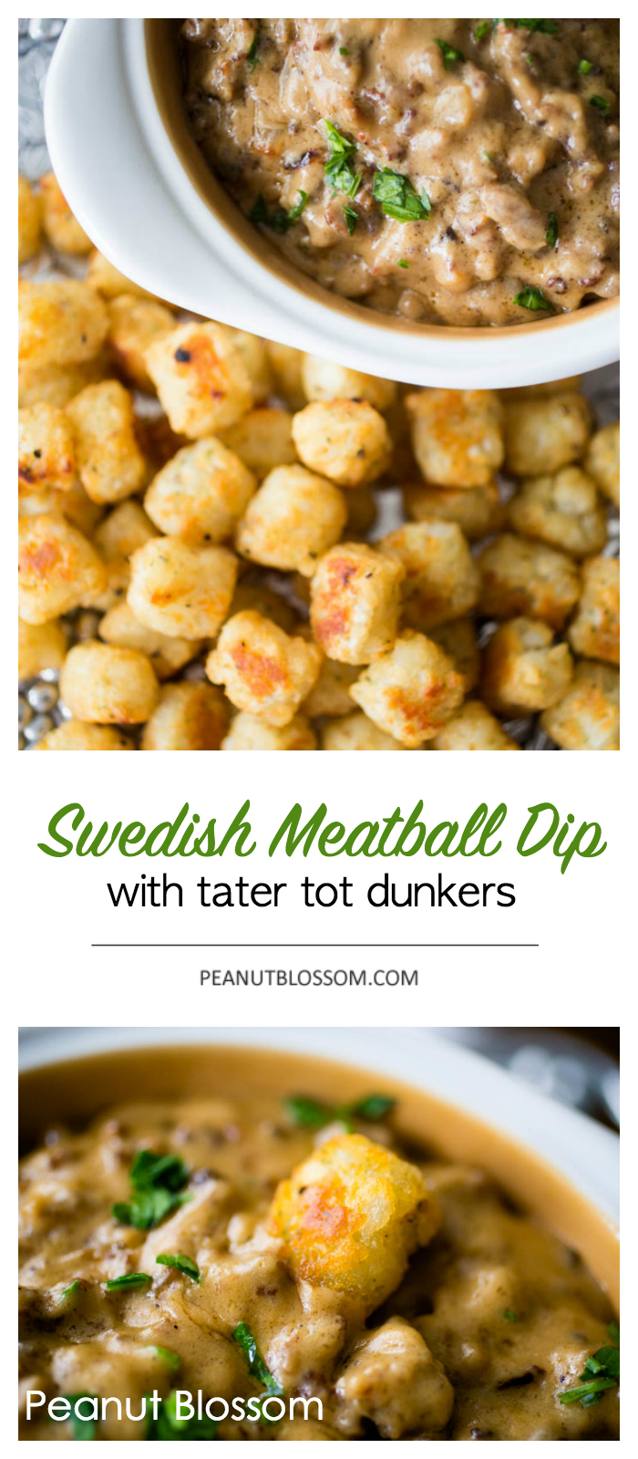 Swedish meatball dip with tater tot dunkers
