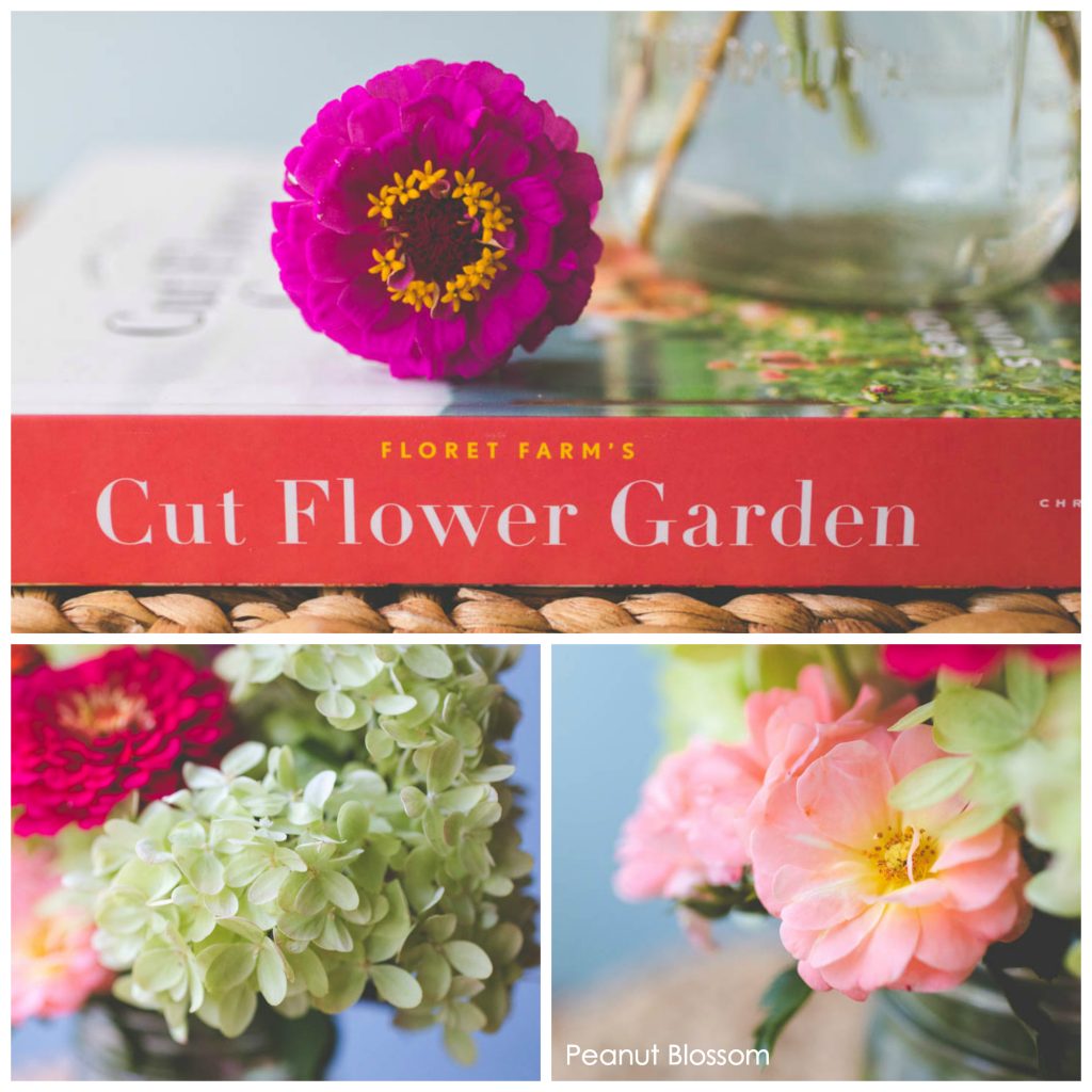 Kitchen Queers Cut Flower Container Garden Tutorial - Zinnia
