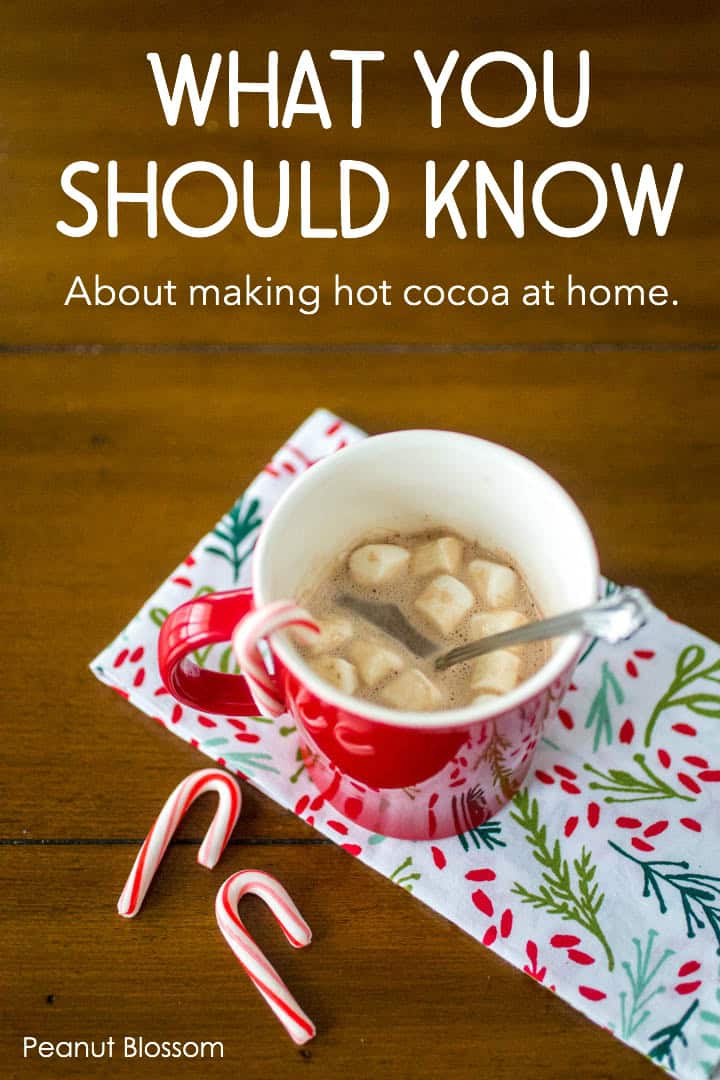 What Everyone Should Know About The Best Hot Cocoa Packets Made With Water   Besthotcocoapackets 8 