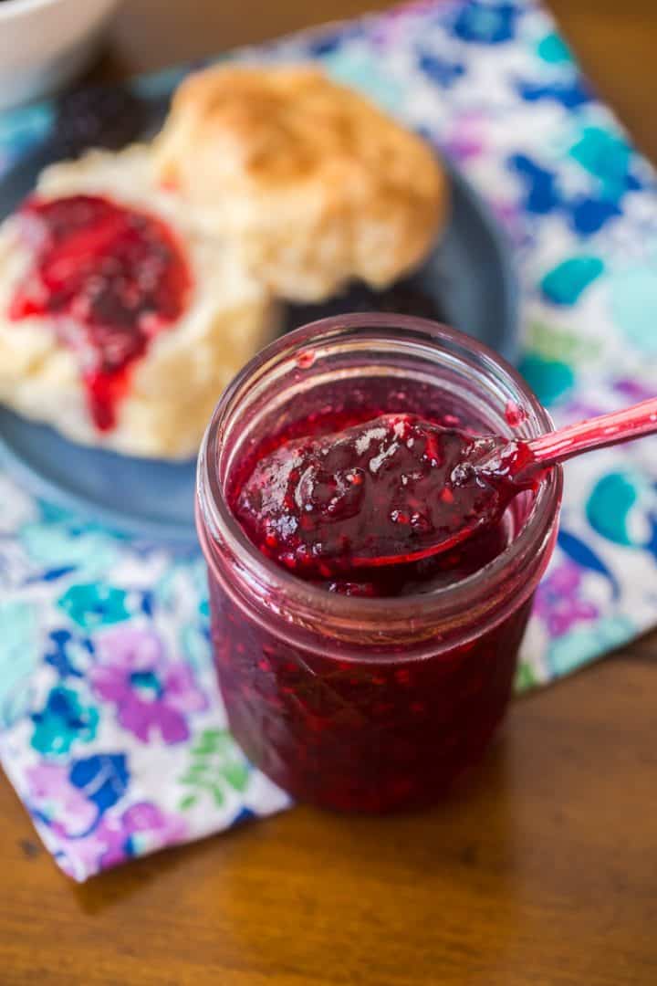 Blackberry Freezer Jam {NoCook, No Corn Syrup!} Peanut Blossom