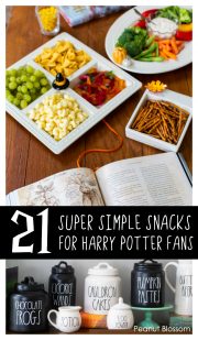 21 Harry Potter Snacks for Movie Night - Peanut Blossom