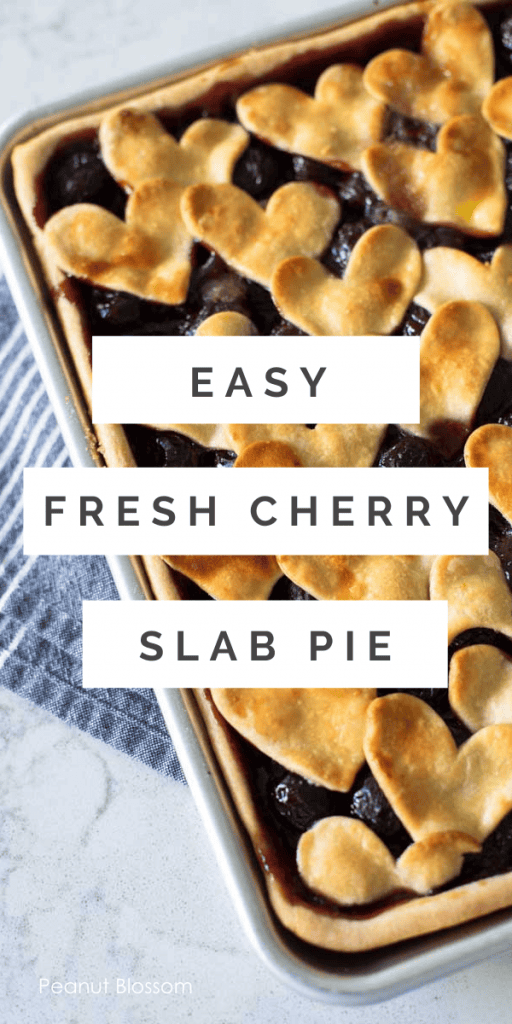 Easy Cherry Pie {With Frozen Cherries} - Peanut Blossom