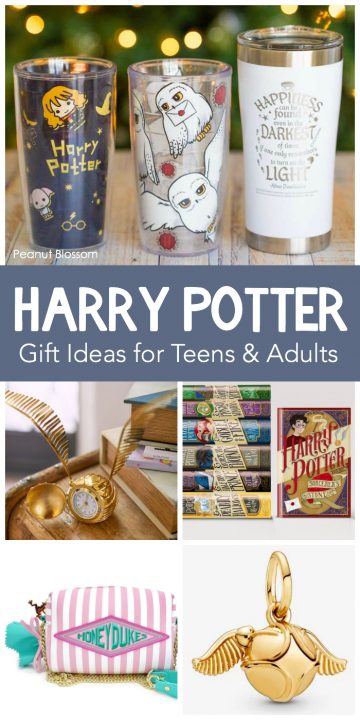 15 Harry Potter gift ideas for teens and the muggles who love them ...