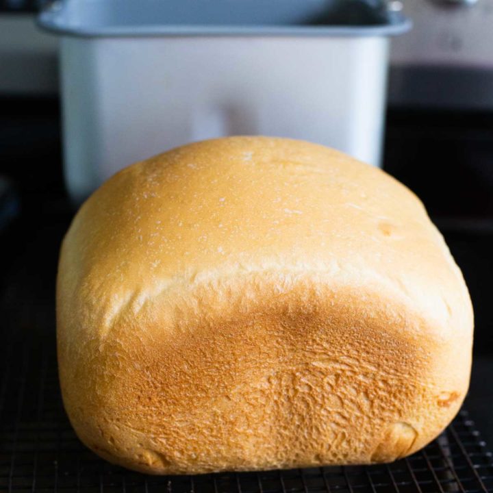Hamilton Beach Premium Dough and Bread Maker Review — Home With Aneta Alaei