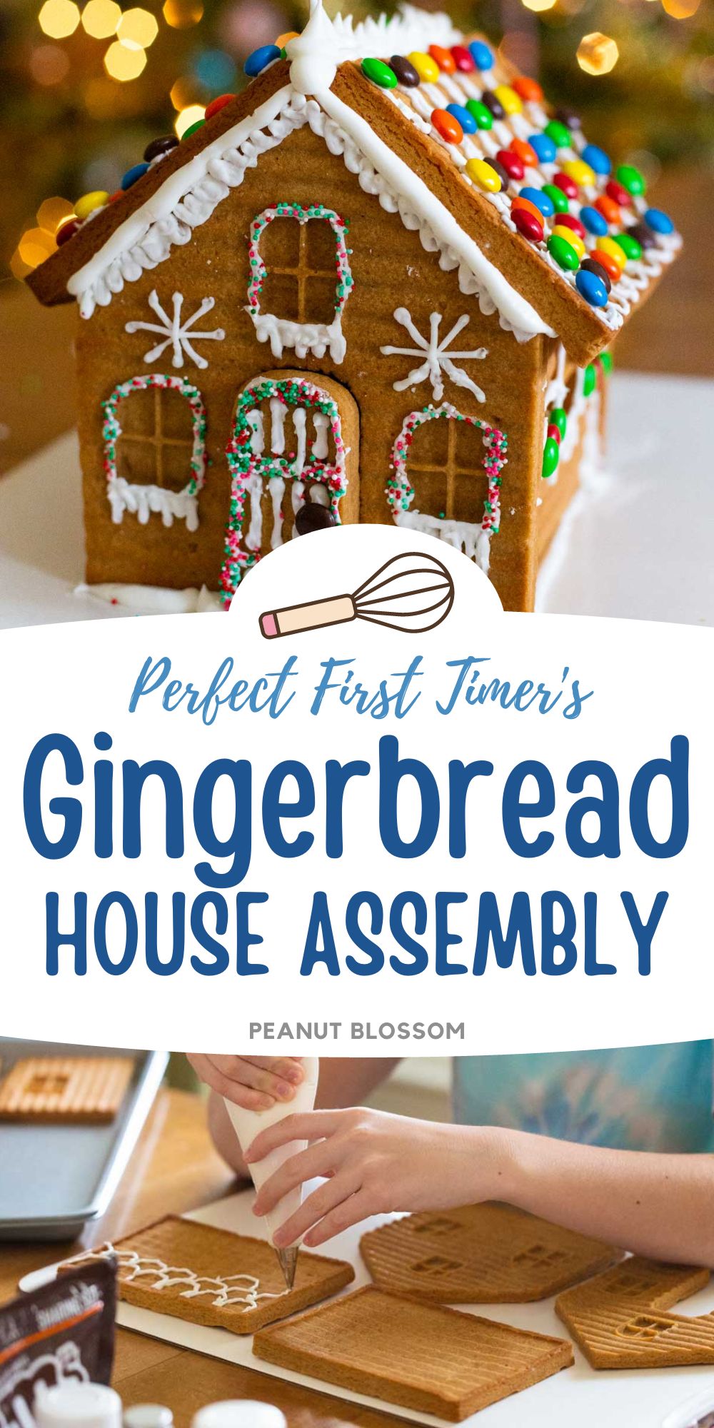 How to Make a Homemade Gingerbread House - Peanut Blossom