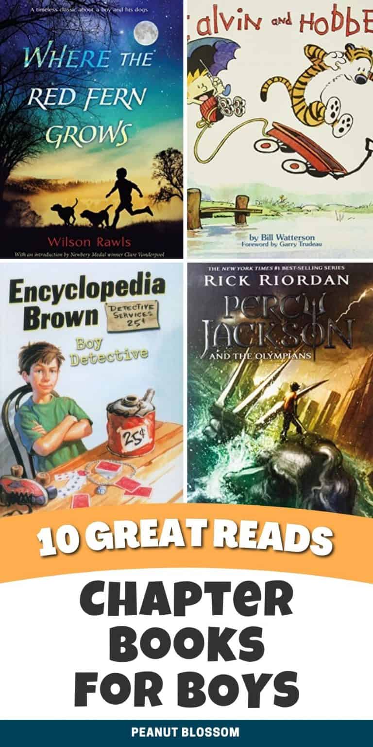 10 Essential Chapter Books for Boys - Peanut Blossom