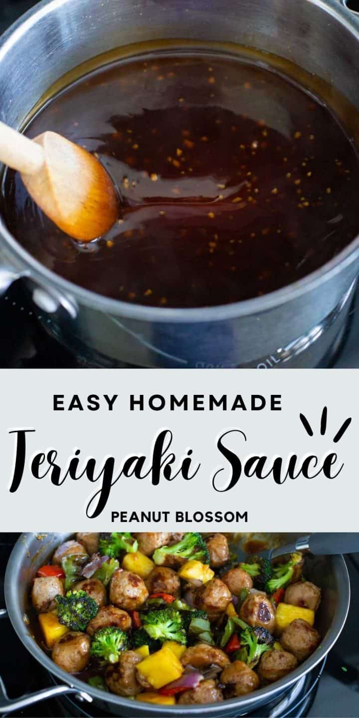 Thick Teriyaki Sauce in 5 Minutes - Peanut Blossom