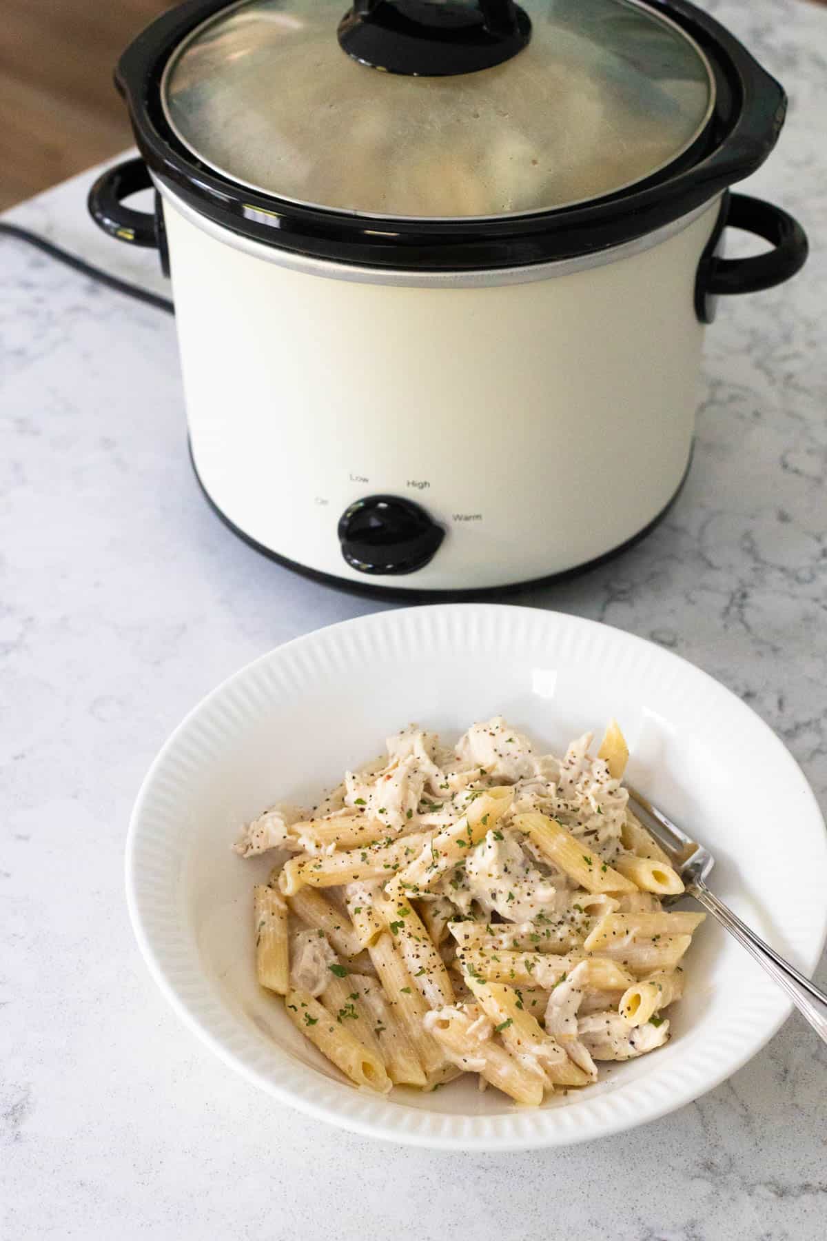 A bowl of creamy pasta with chicken sits in front of a slowcooker.